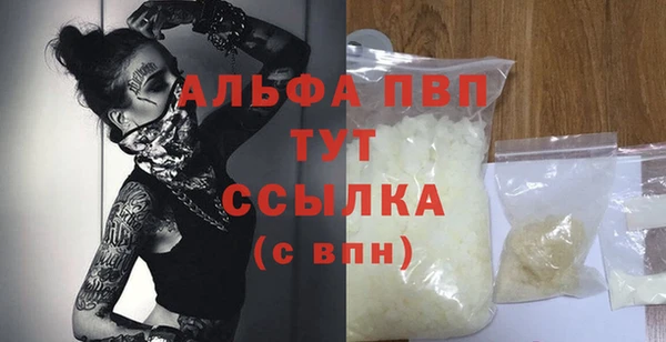 прущие грибы Краснотурьинск