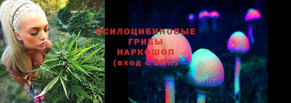 прущие грибы Краснотурьинск
