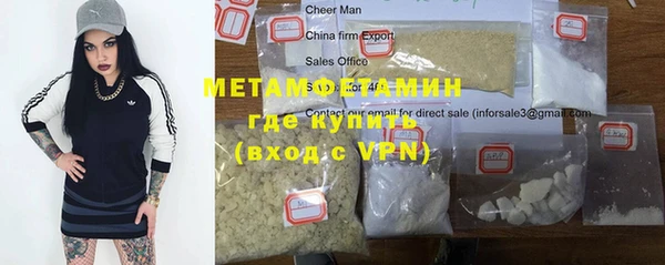 прущие грибы Краснотурьинск