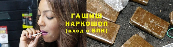 прущие грибы Корсаков