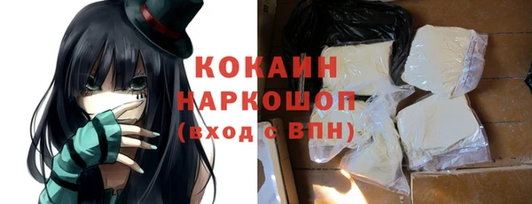 прущие грибы Краснотурьинск