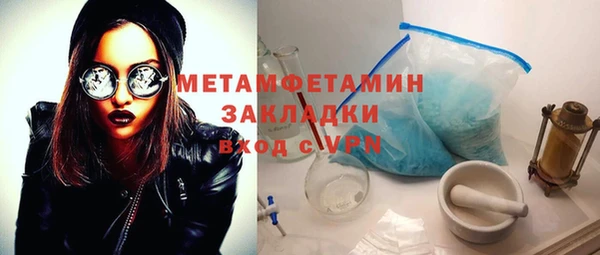 прущие грибы Краснотурьинск