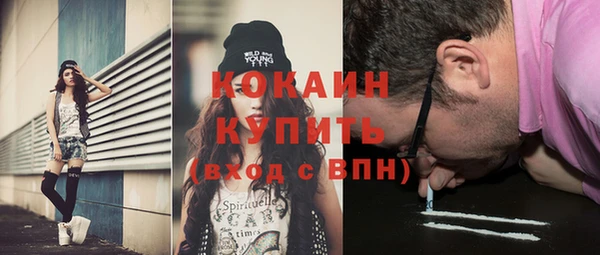 прущие грибы Краснотурьинск