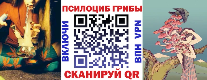 Галлюциногенные грибы Psilocybe  как найти закладки  Костерёво 